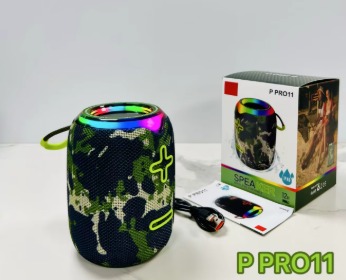 PARLANTE P PRO 11